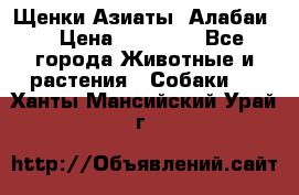 Щенки Азиаты (Алабаи) › Цена ­ 20 000 - Все города Животные и растения » Собаки   . Ханты-Мансийский,Урай г.